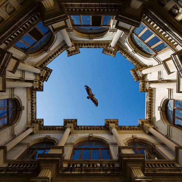 An eagle flying over a building